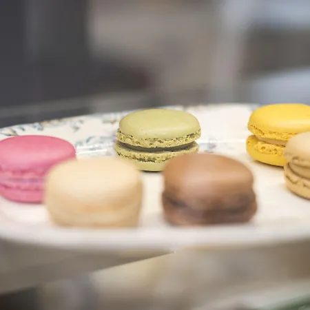 Oda ve Kahvaltı Nidaros Pilegrimsgard Trondheim